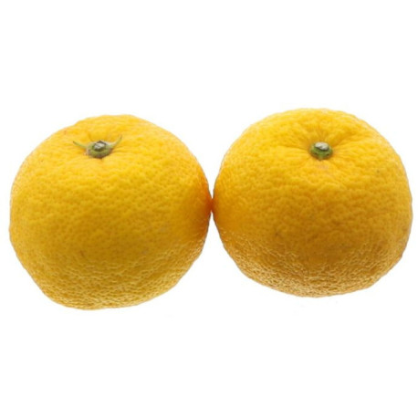 CITRON YUZU 1KG